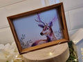 Trinket Tray - Stag