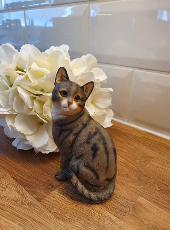Tabby Cat - Sitting