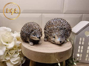 Hedgehogs - Milo & Max