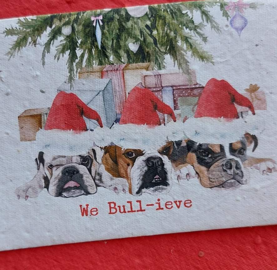 Christmas Bull Dogs - Plantable Seed Card .
