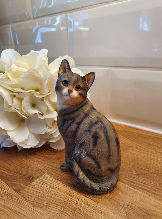 Tabby Cat - Sitting
