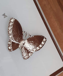 2nd - Butterfly Jewellery Box