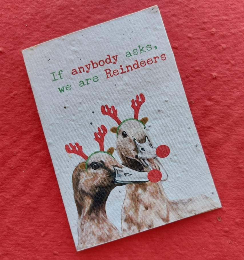 Christmas Ducks / Reindeers - Plantable Seed Card .