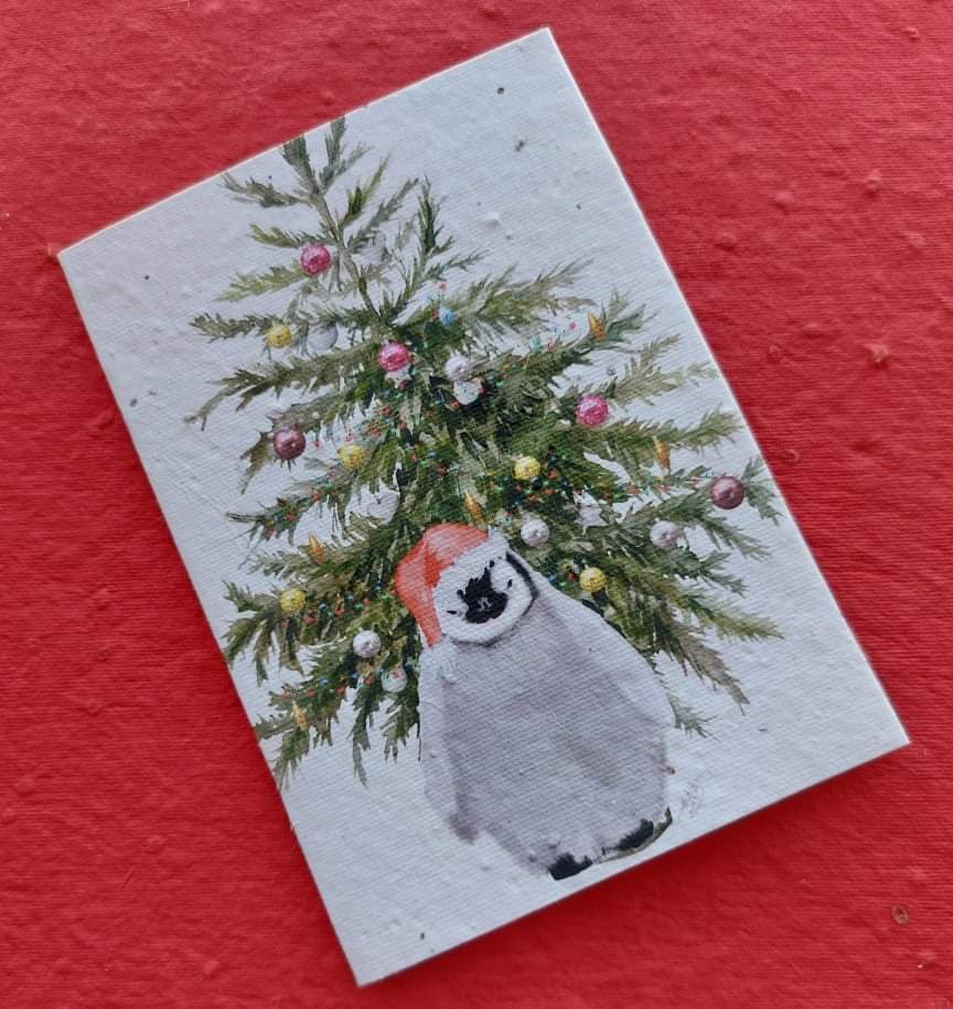 Christmas Penguin - Plantable Seed Card