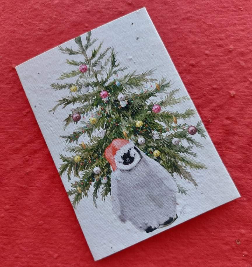 Christmas Penguin - Plantable Seed Card .